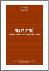 Vật lý lý thú