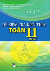 Đề kiểm tra kiến thức Toán 11 - tập 2